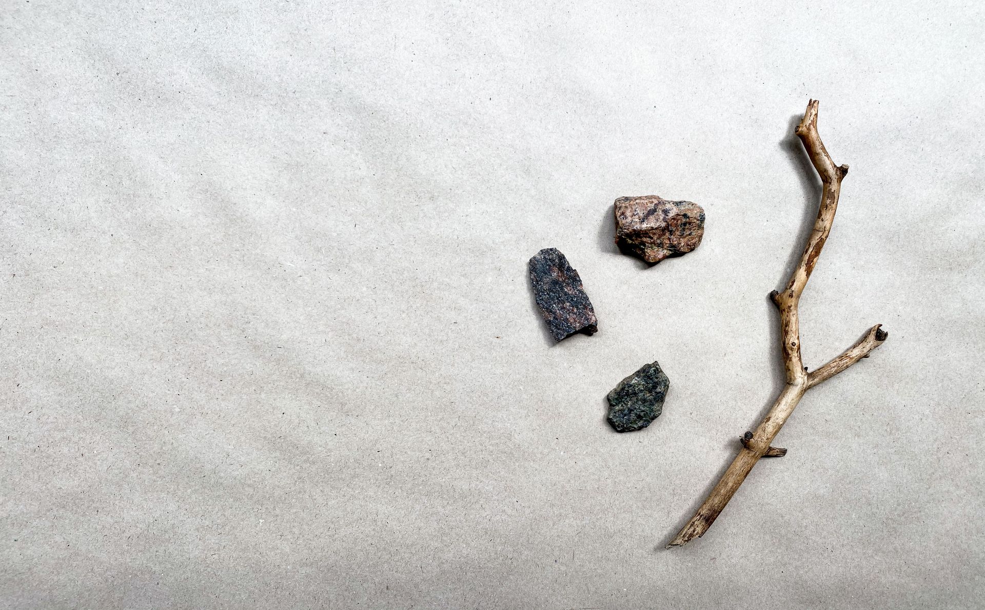 Crystals and driftwood arranged on a white surface
