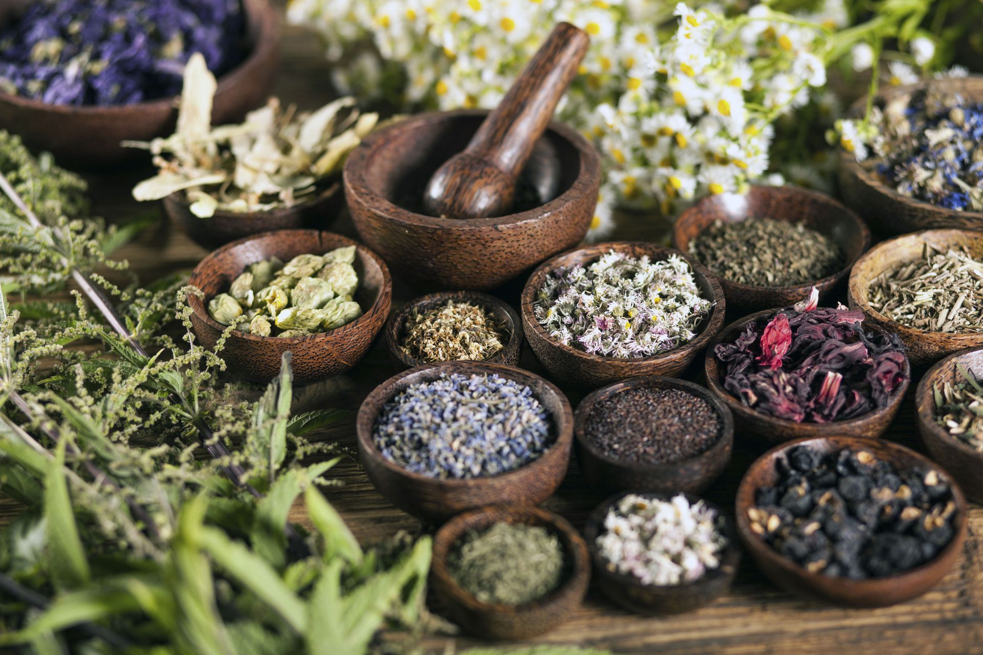 Dried herbs and botanicals in wooden bowls